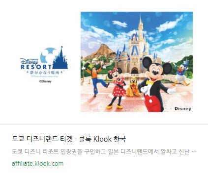 도쿄 디즈니씨 입장권 티켓