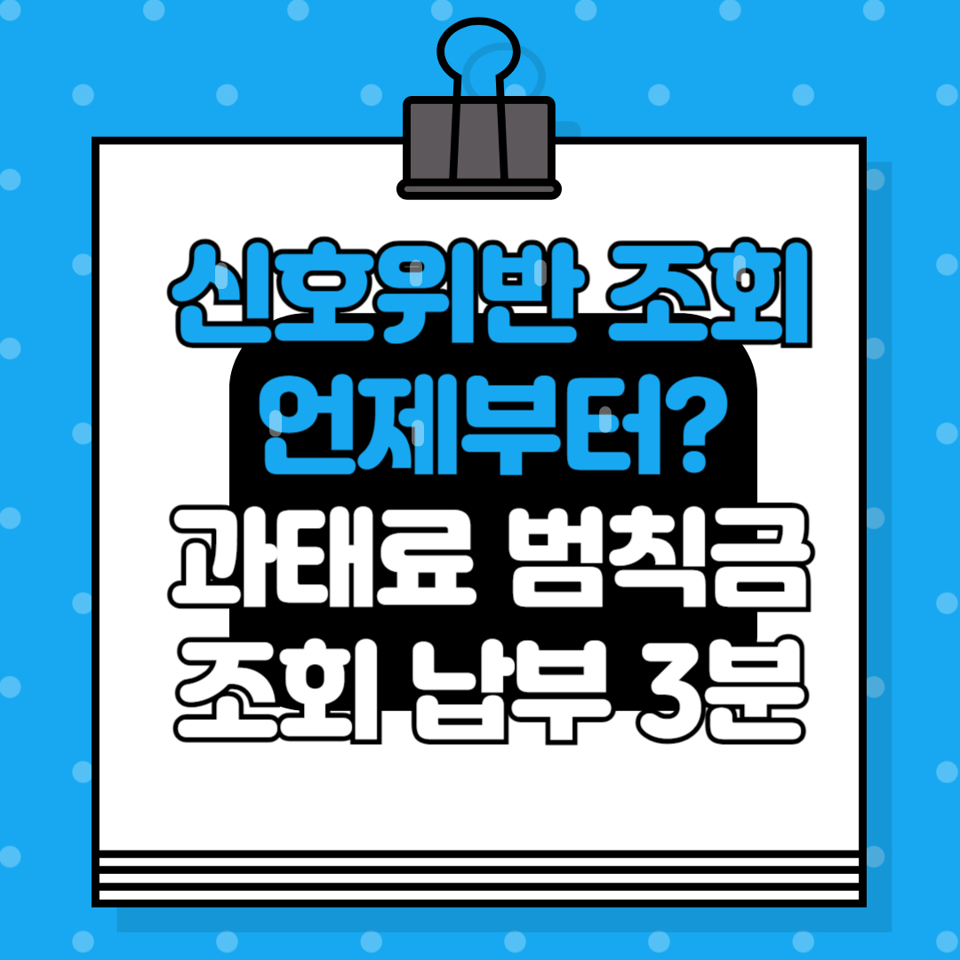 신호 위반 조회 언제부터, 과태료 범칙금 조회 납부