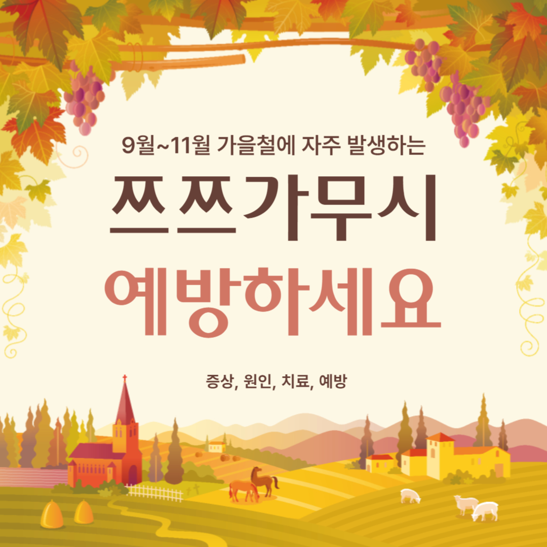 쯔쯔가무시 예방하세요