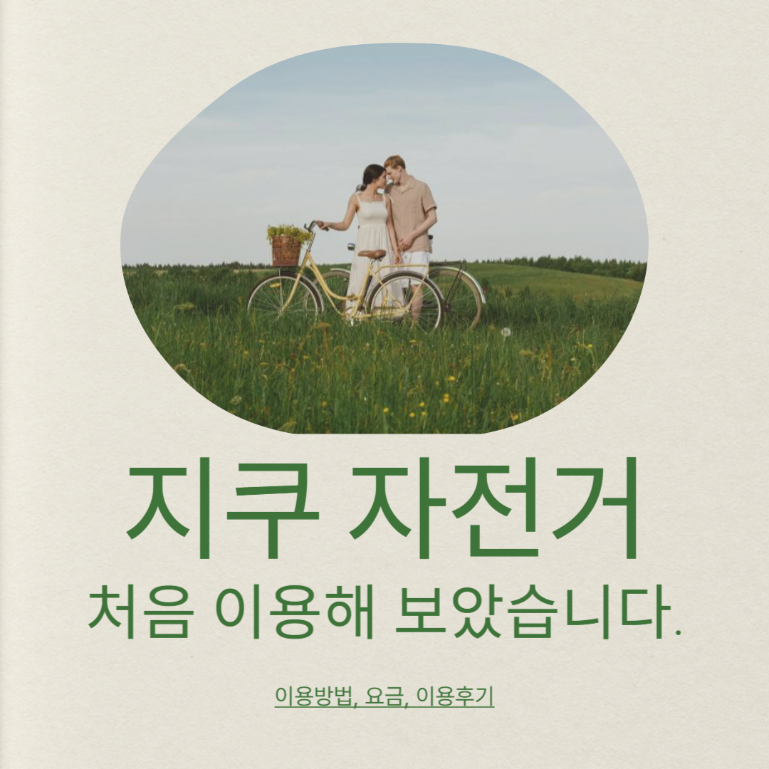 지쿠 자전거 요금, 이용방법, 이용후기